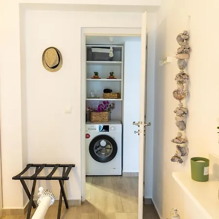 The Litlle Mermaid *